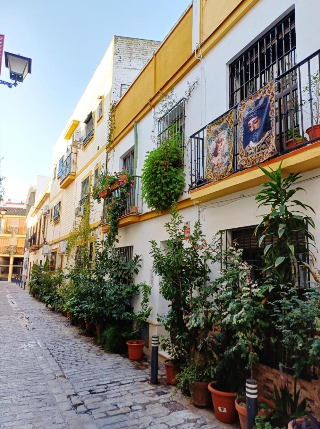 Apartamento Macarena, Centro De Sevilla - Cerca De Catedral E Isla Magica — Photos 1